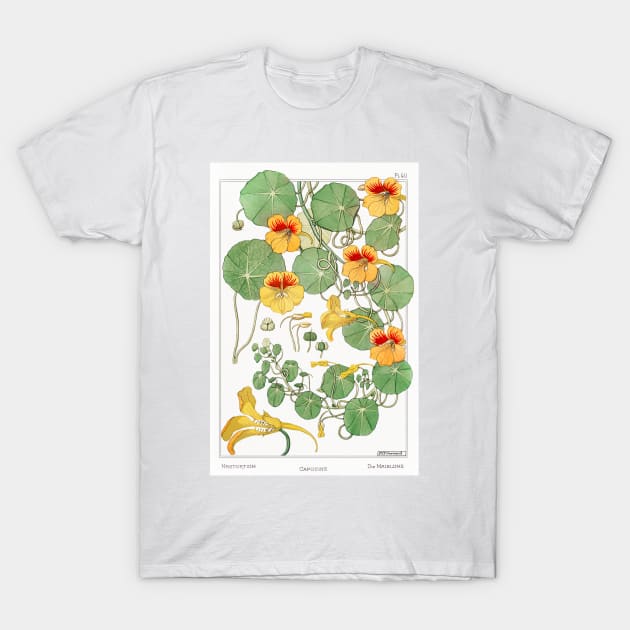 Nasturtium (1896) T-Shirt by WAITE-SMITH VINTAGE ART